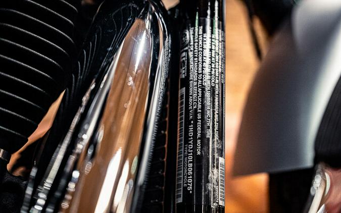 2020 Harley-Davidson Softail Slim