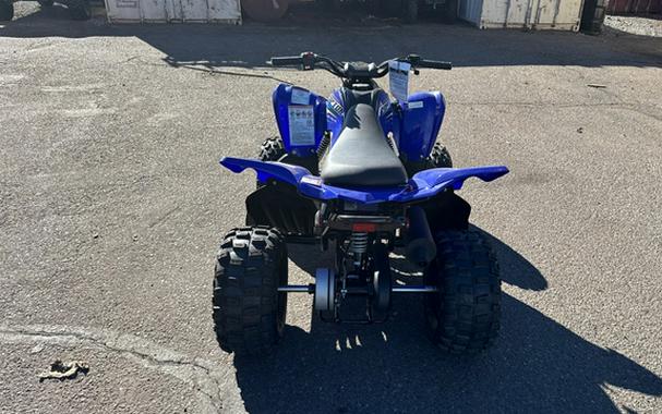 2026 Yamaha Raptor 110