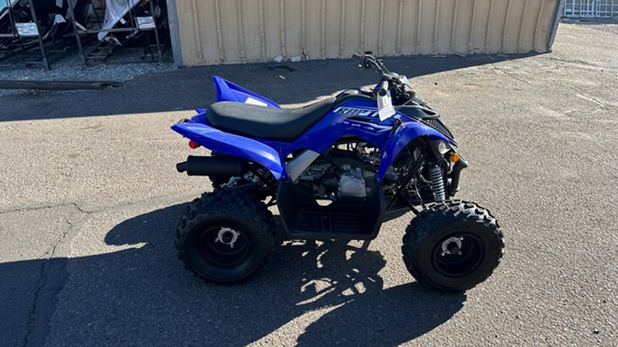 2026 Yamaha Raptor 110