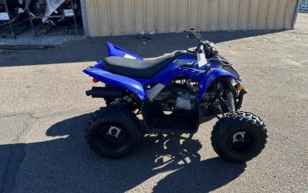 2026 Yamaha Raptor 110