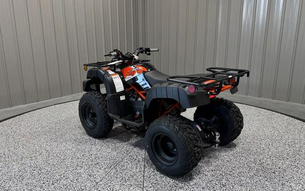 2025 Kayo Bull 150 EFI