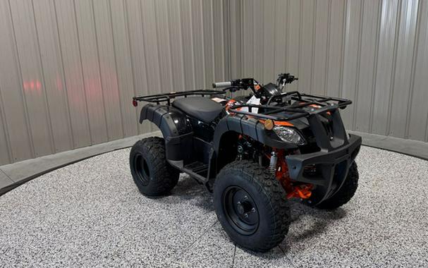2025 Kayo Bull 150 EFI