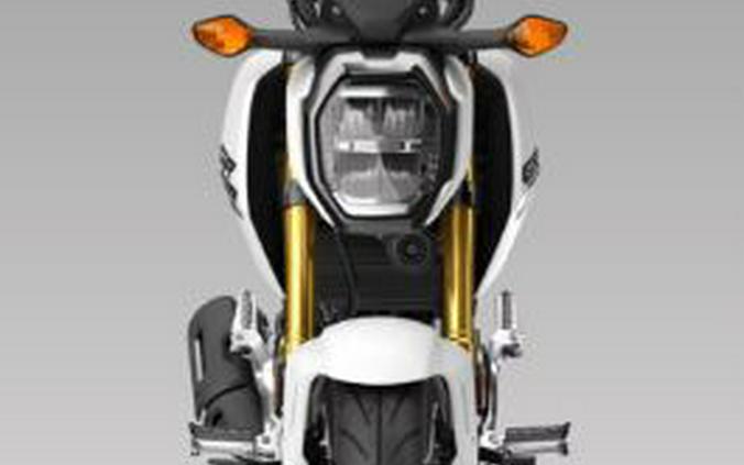 2026 Honda GROM125SPT
