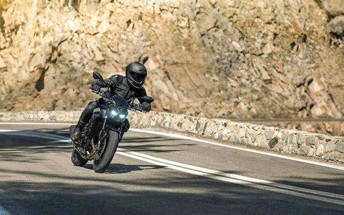 2025 Kawasaki Z900 ABS