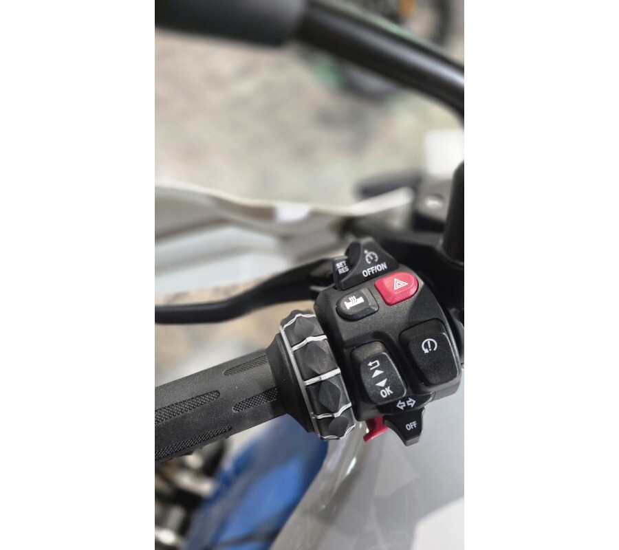 2026 BMW Motorrad R 12 G/S