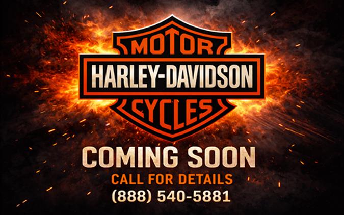 2012 Harley-Davidson Heritage Softail® Classic