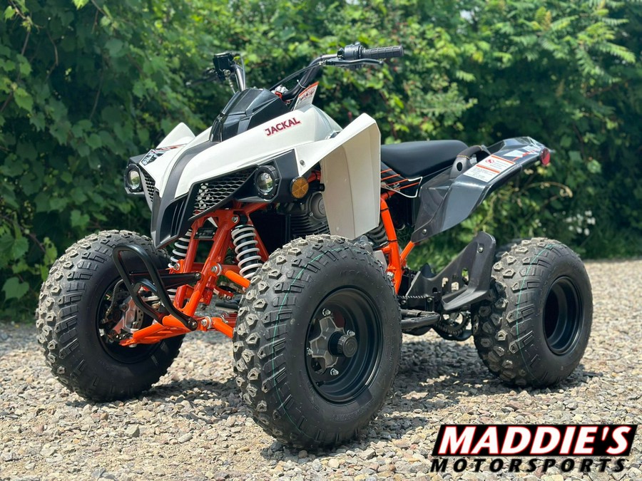 2021 Kayo Jackal 200