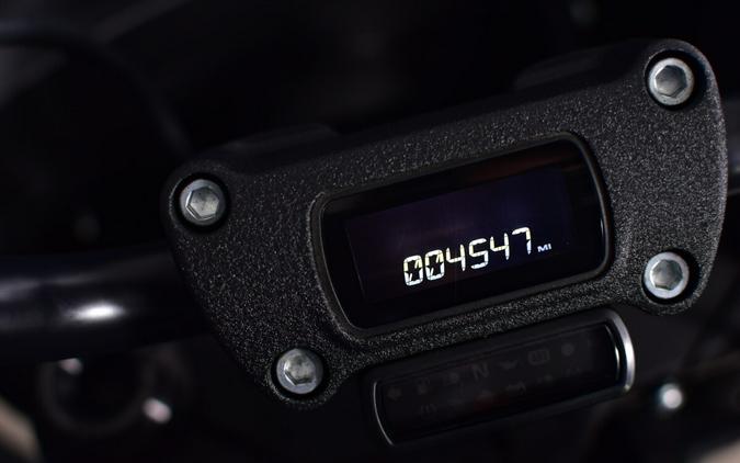 2024 Harley-Davidson Low Rider ST