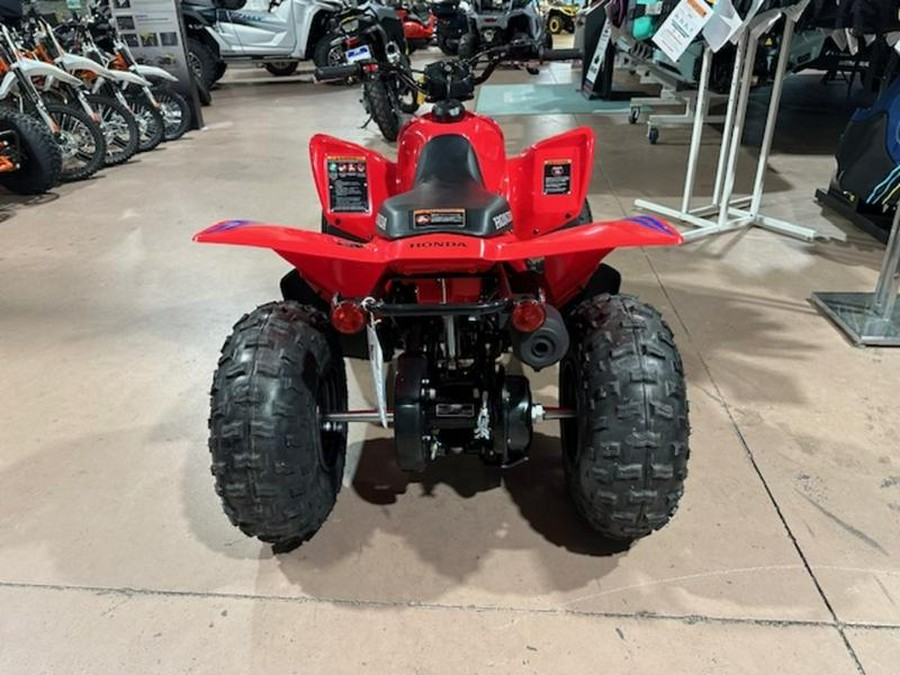 2024 Honda® TRX90X