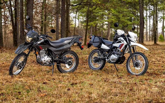 2026 Honda XR150L Gray - HM2076
