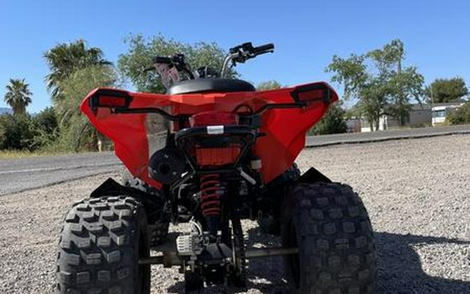 2023 Can-Am® DS 250