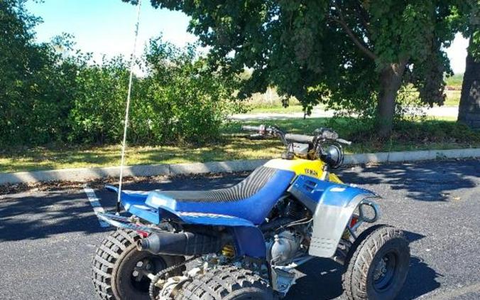 1995 Yamaha WARRIOR 350