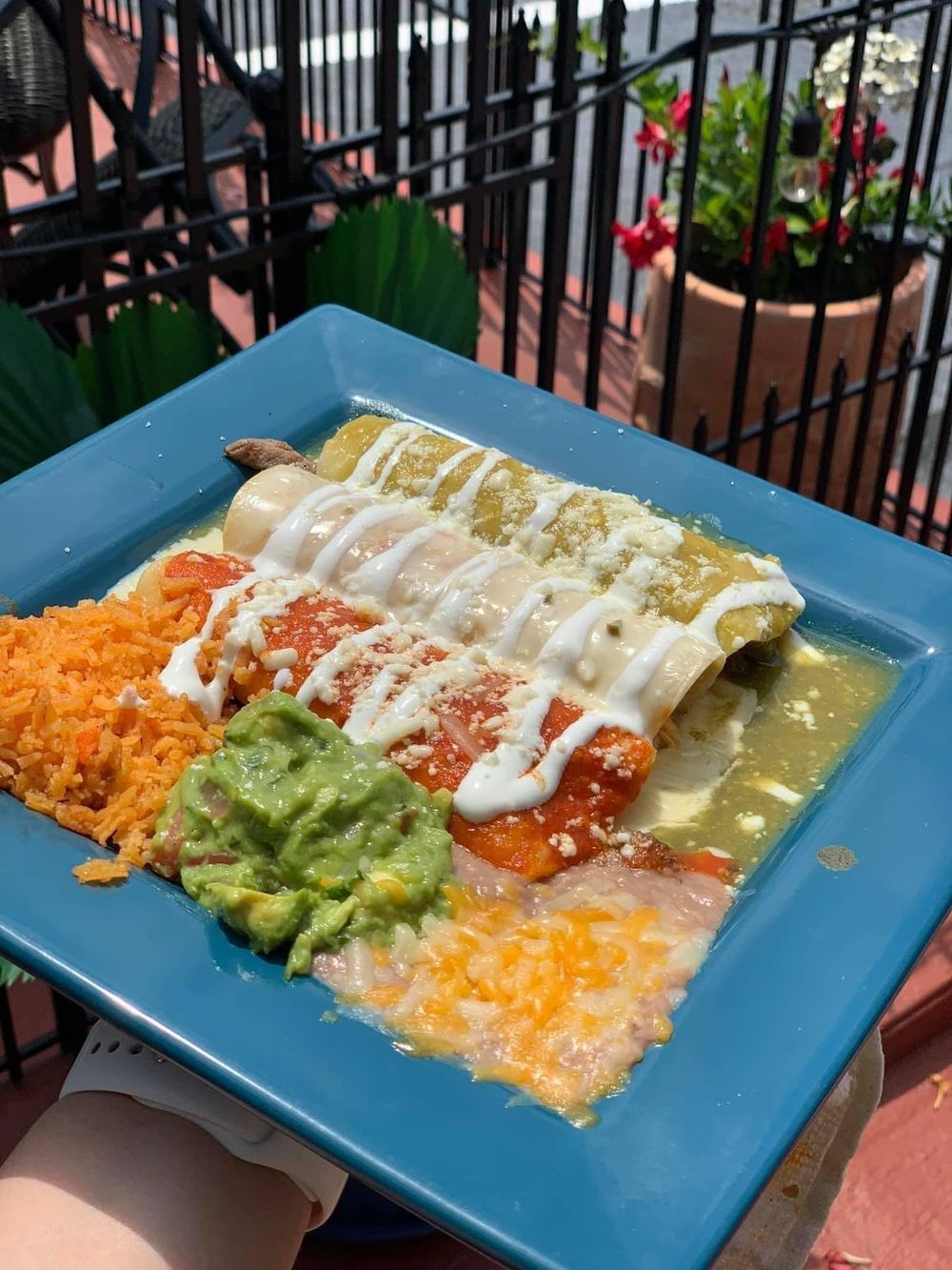 Mexican Flag Enchiladas