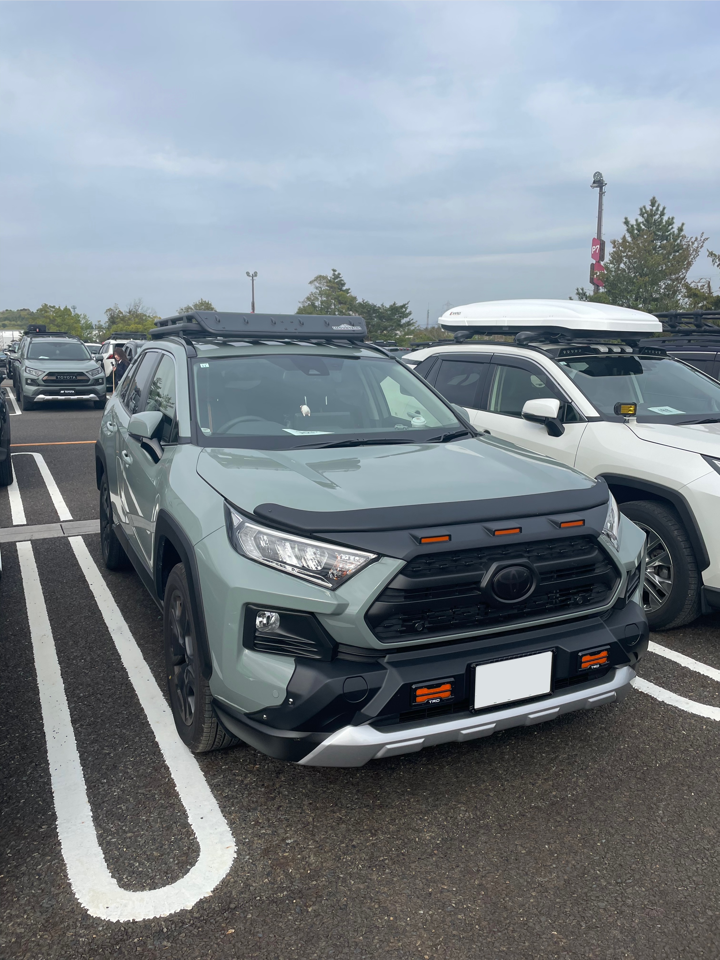 RAV4 AXAP54