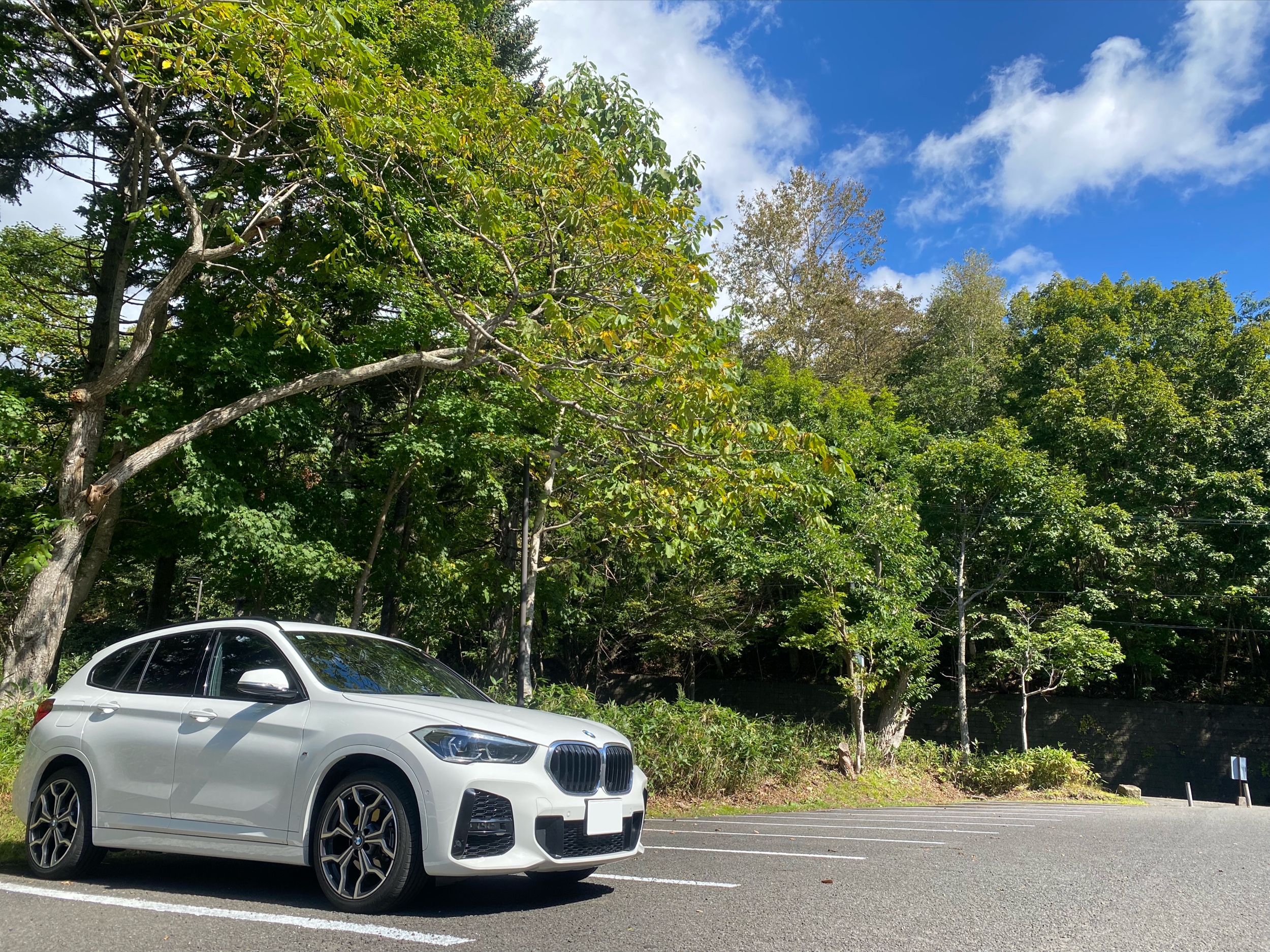 X1 xDrive 18d