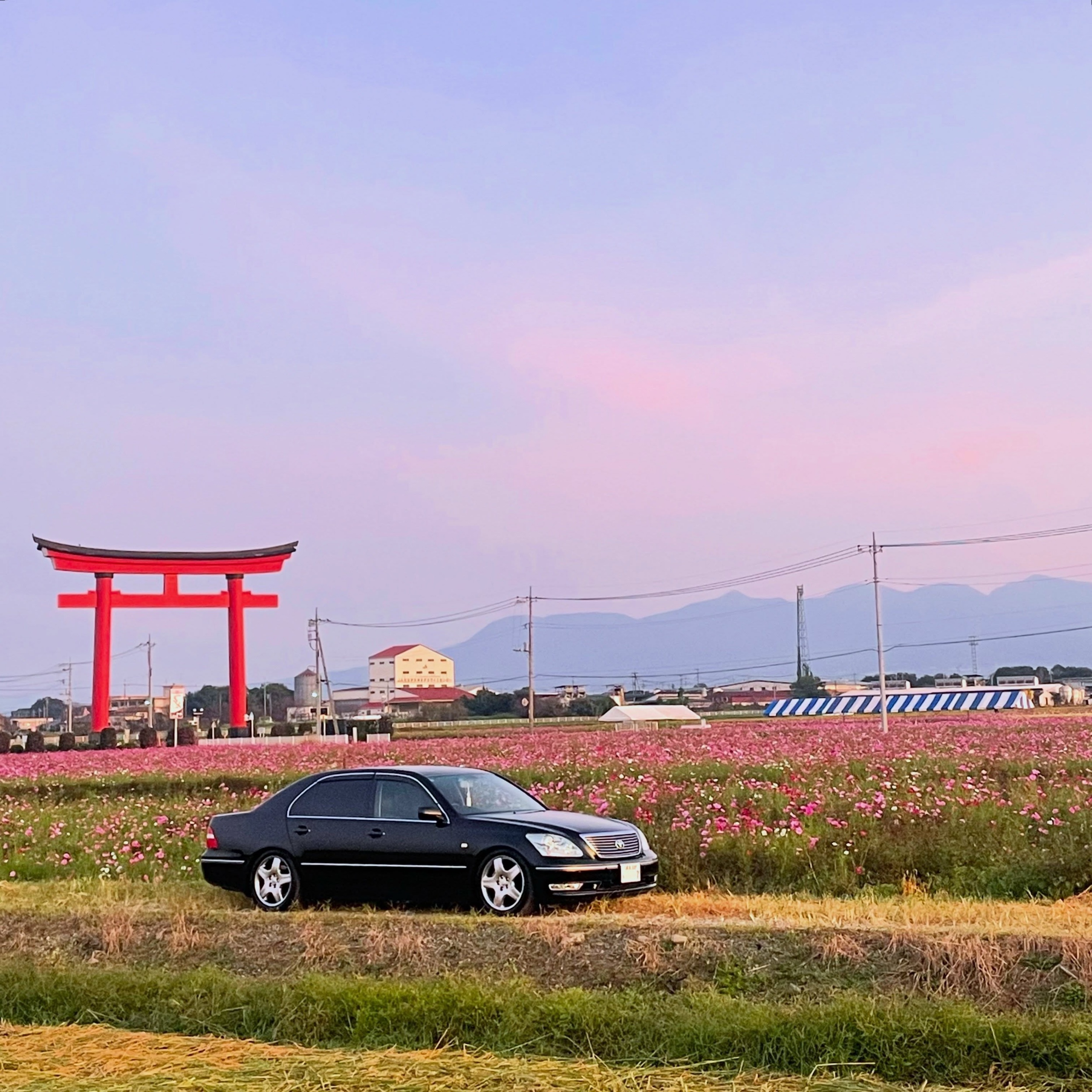 セルシオ UCF30