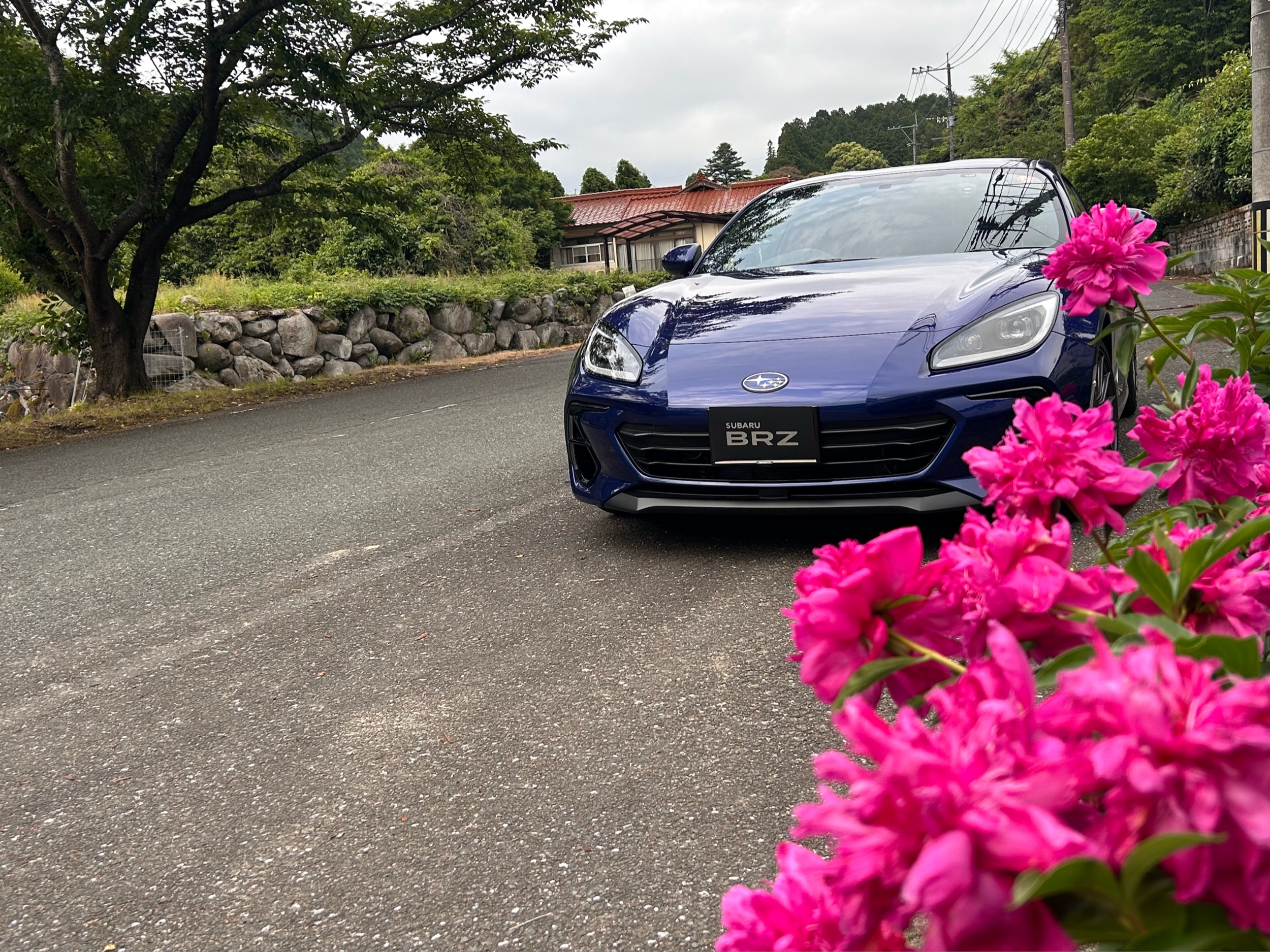 BRZ ZD8