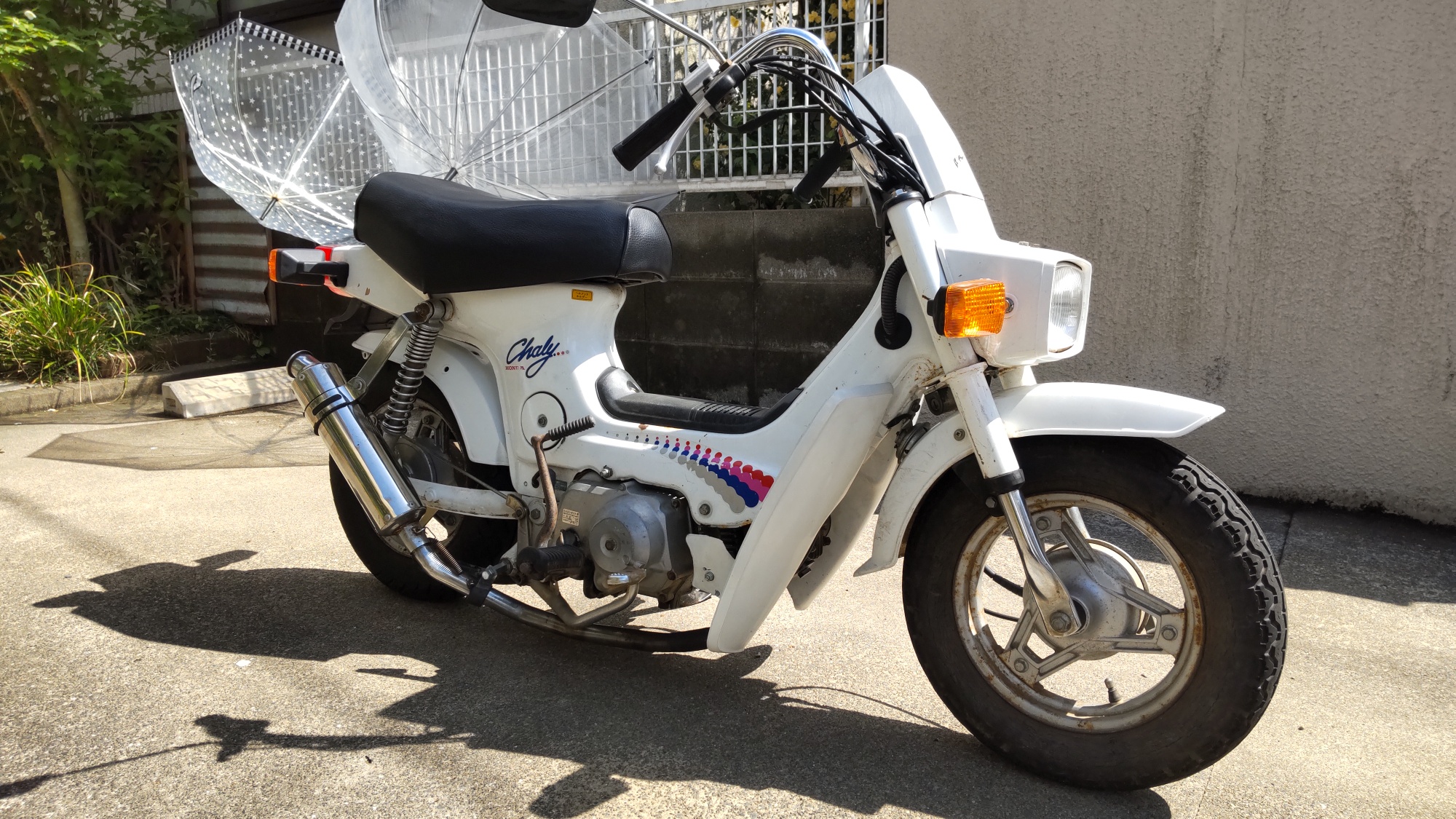 シャリー　車体　CF50  綺麗