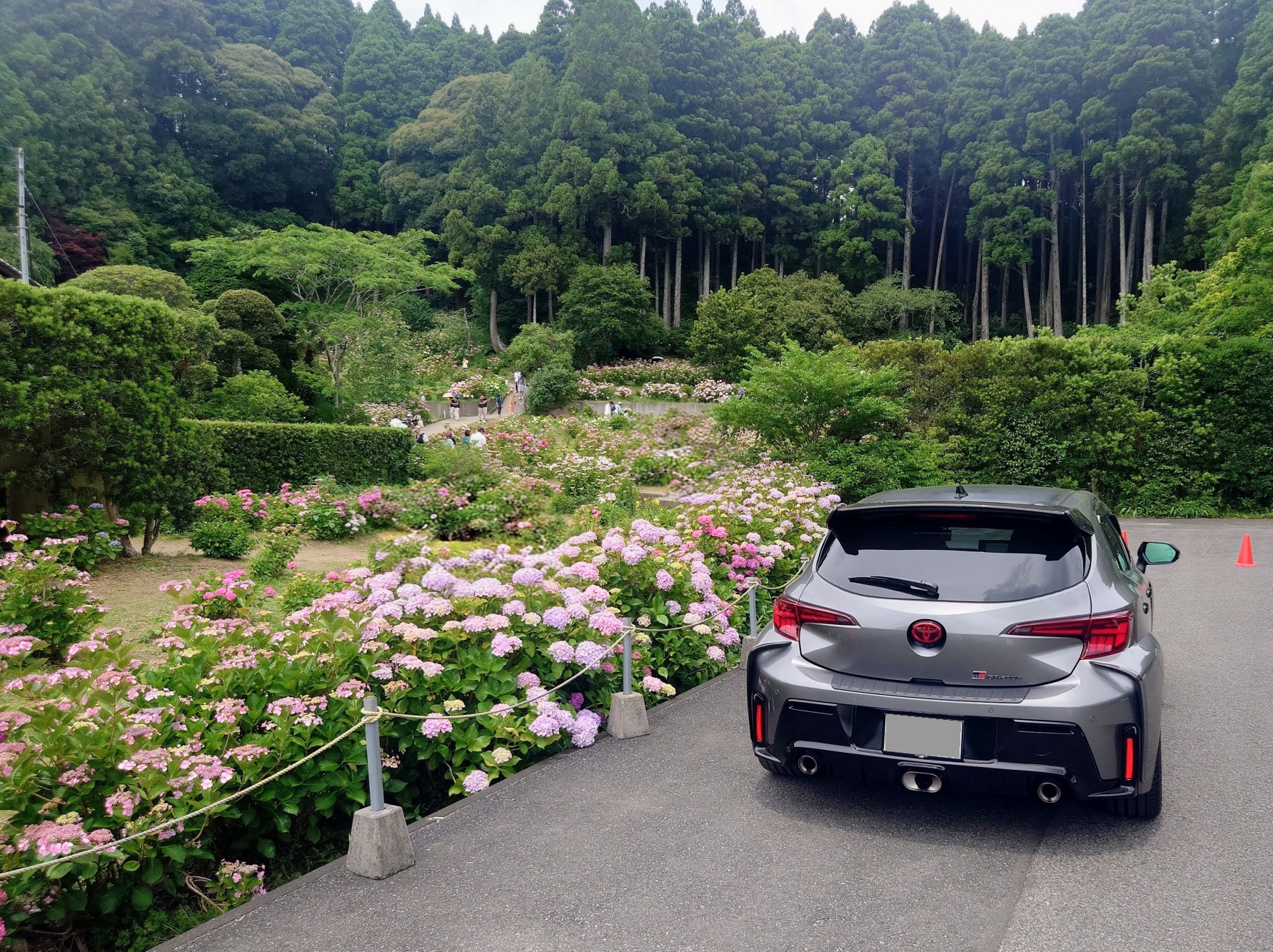GRカローラ GZEA14H