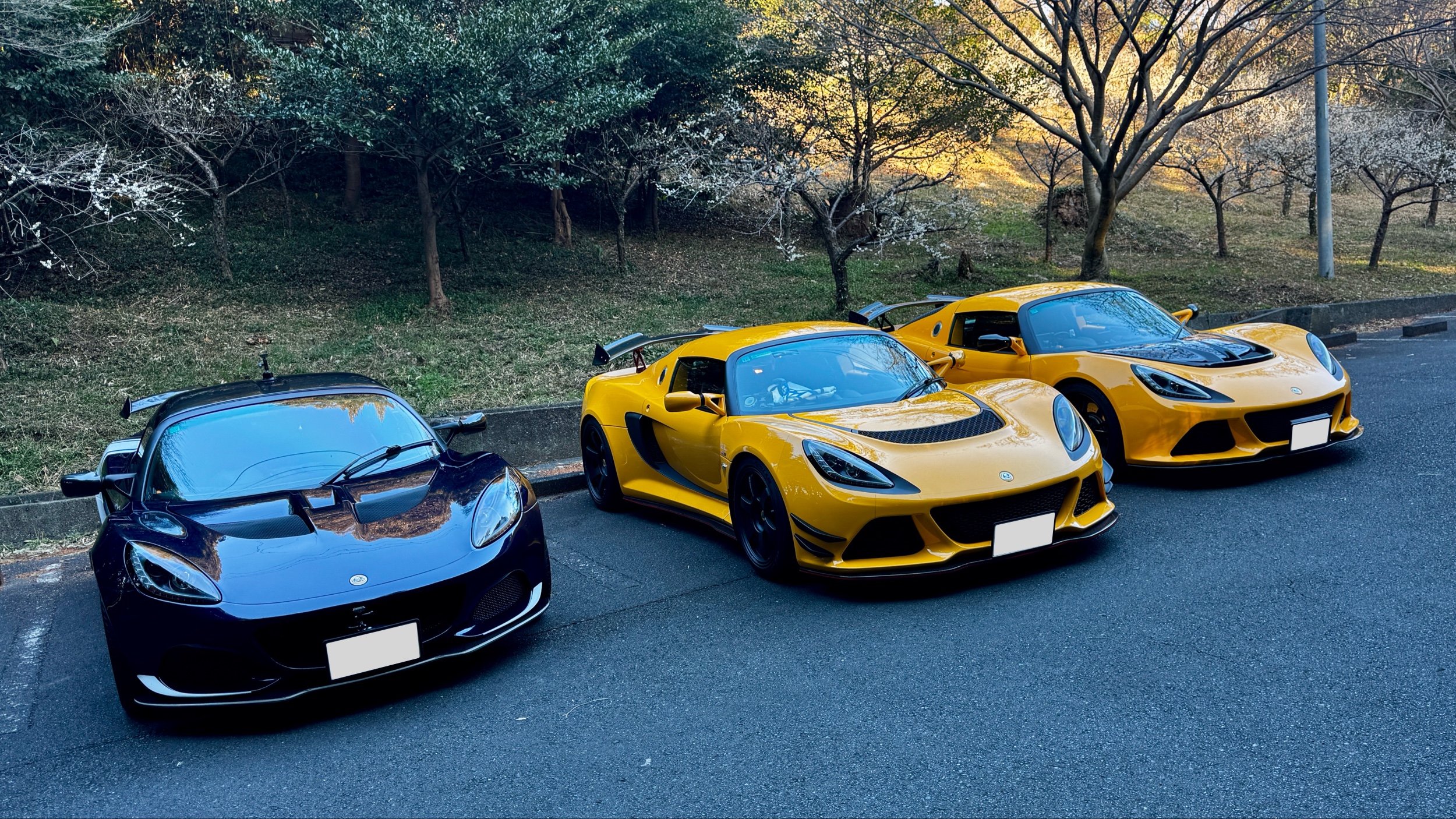 エリーゼ フェイズ3