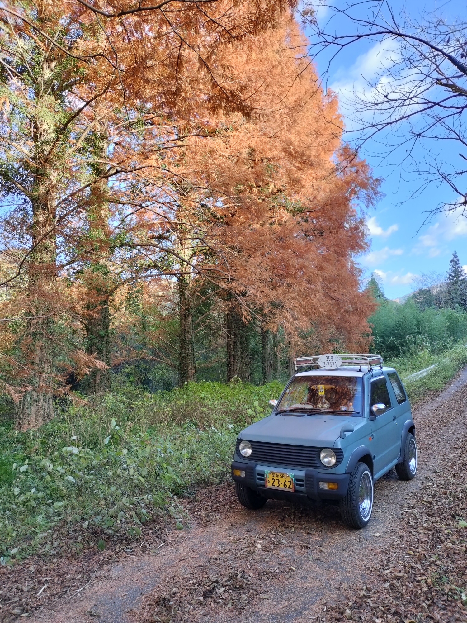 パジェロミニ H56A