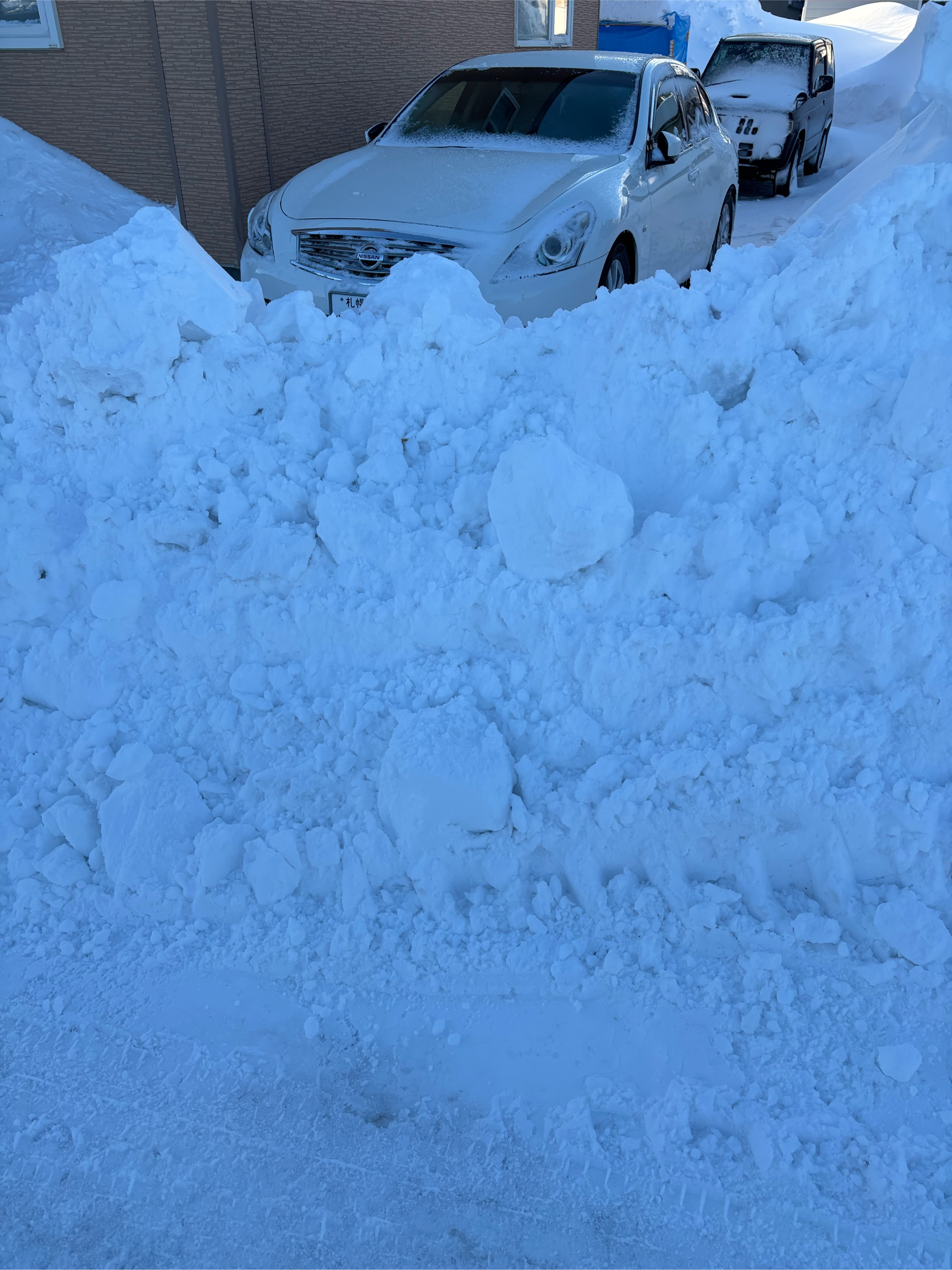 スカイライン NV36