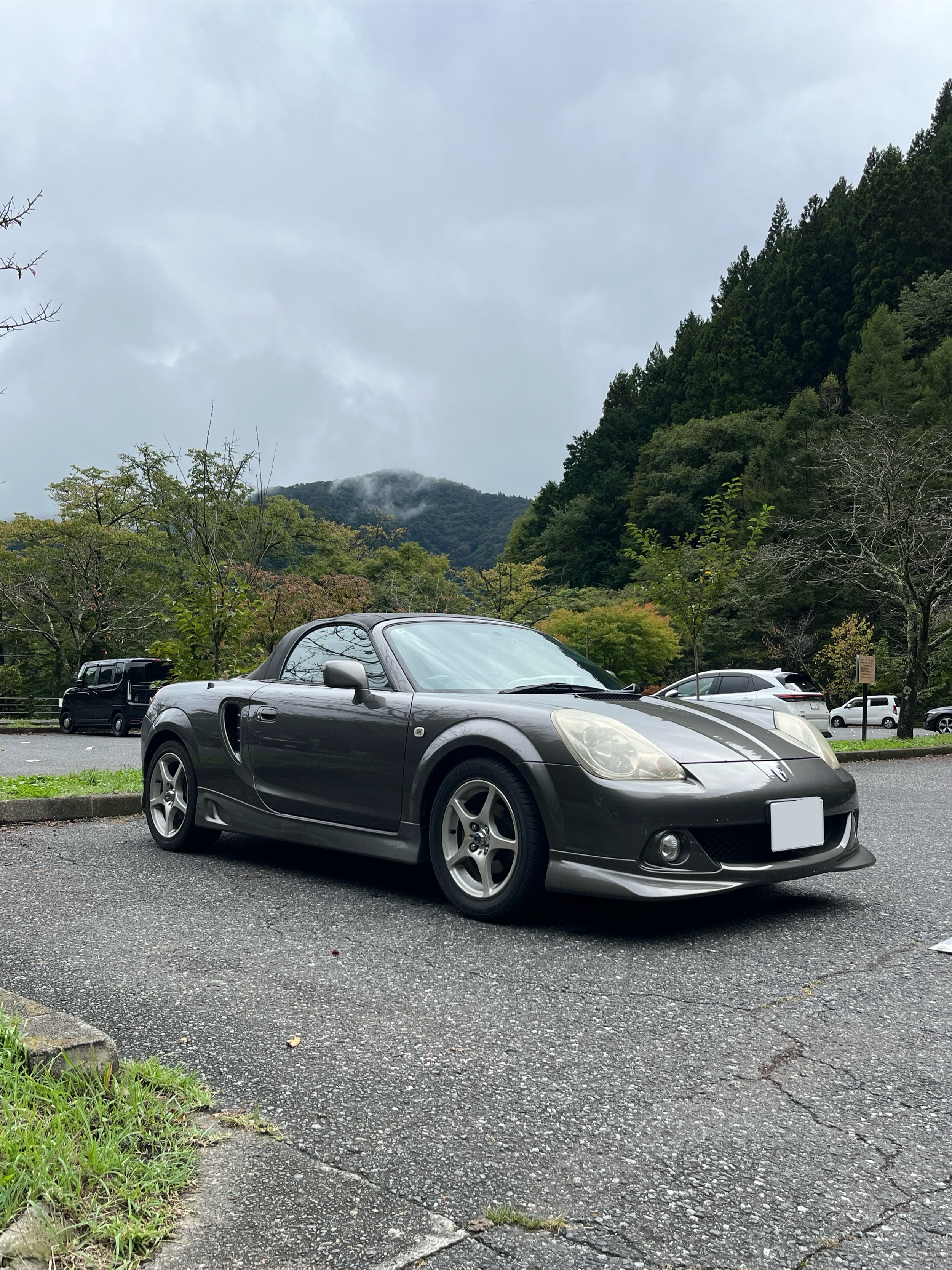 MR-S ZZW30