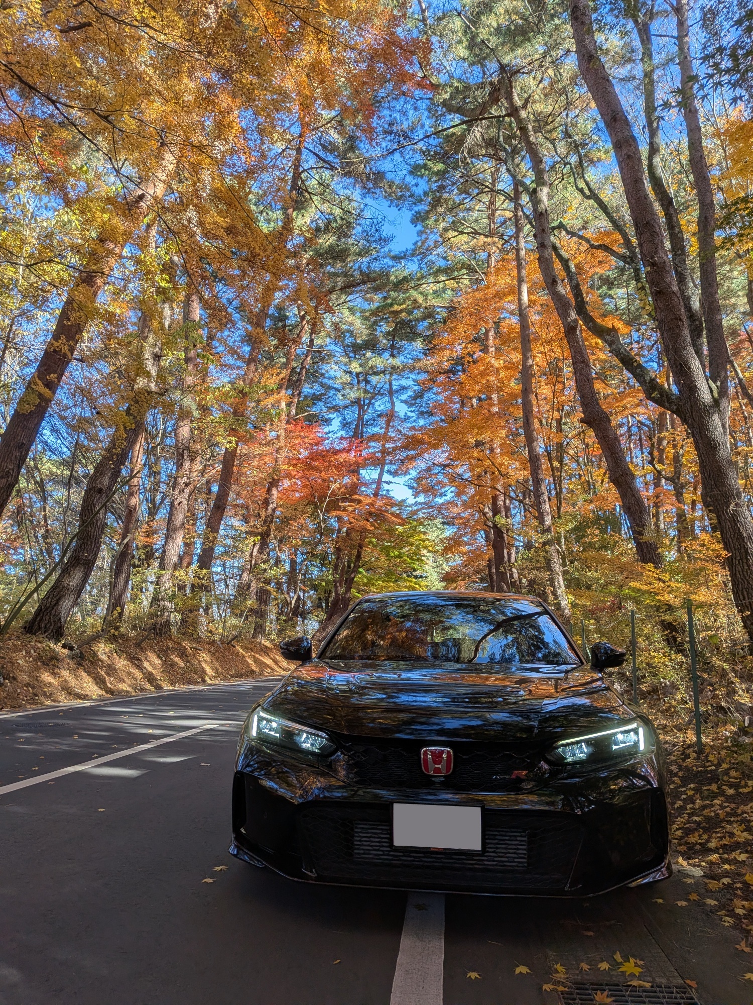 シビックタイプR FL5