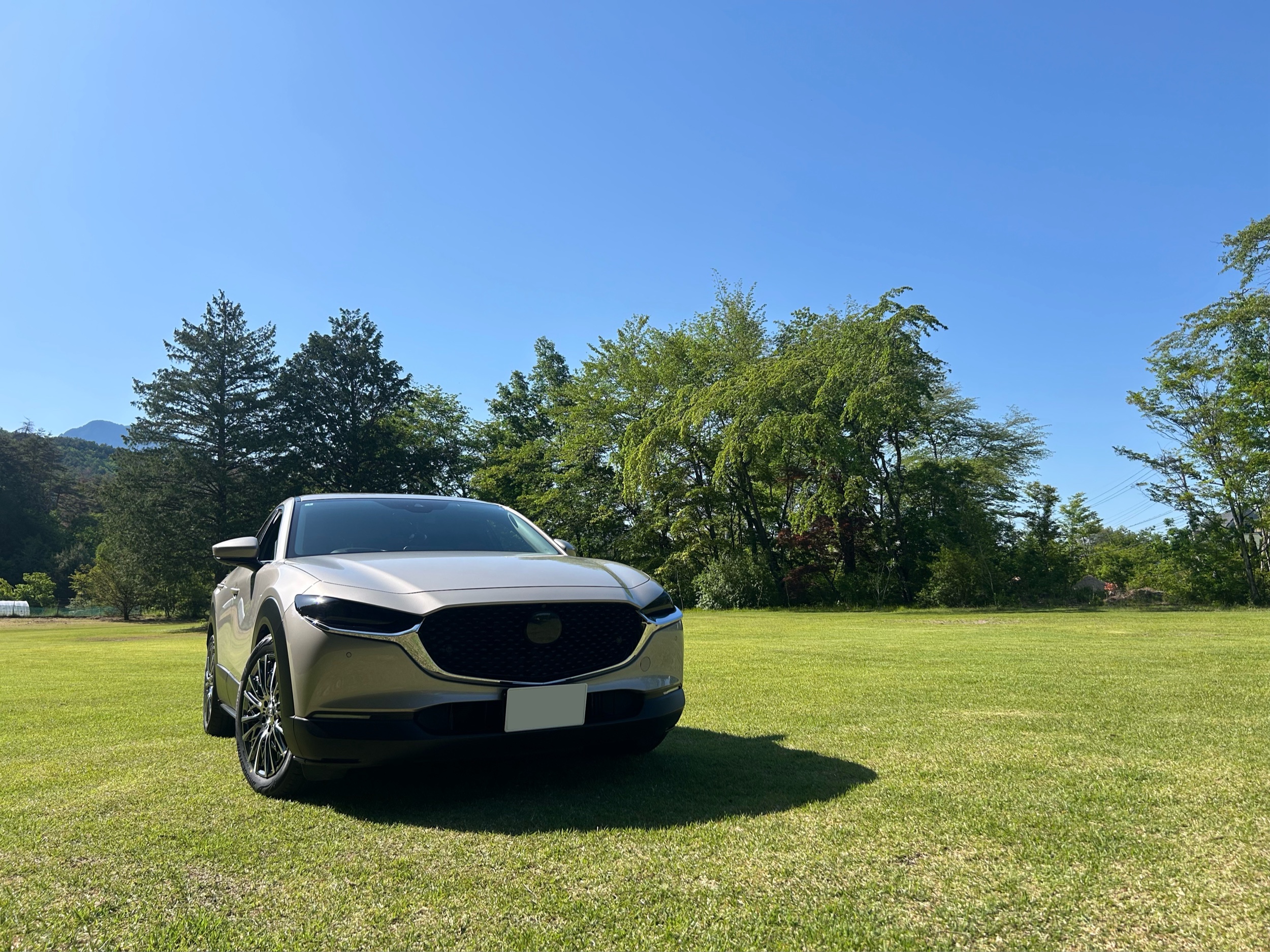 CX-30