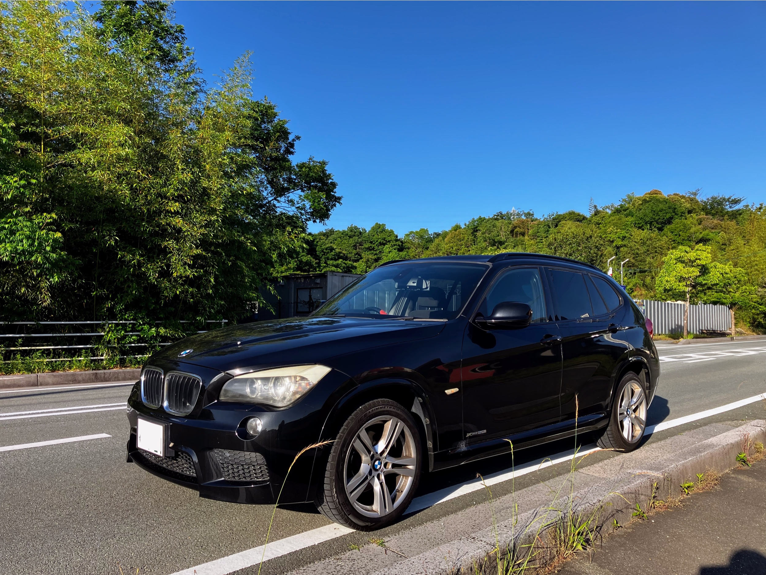 X1 xDrive 20i