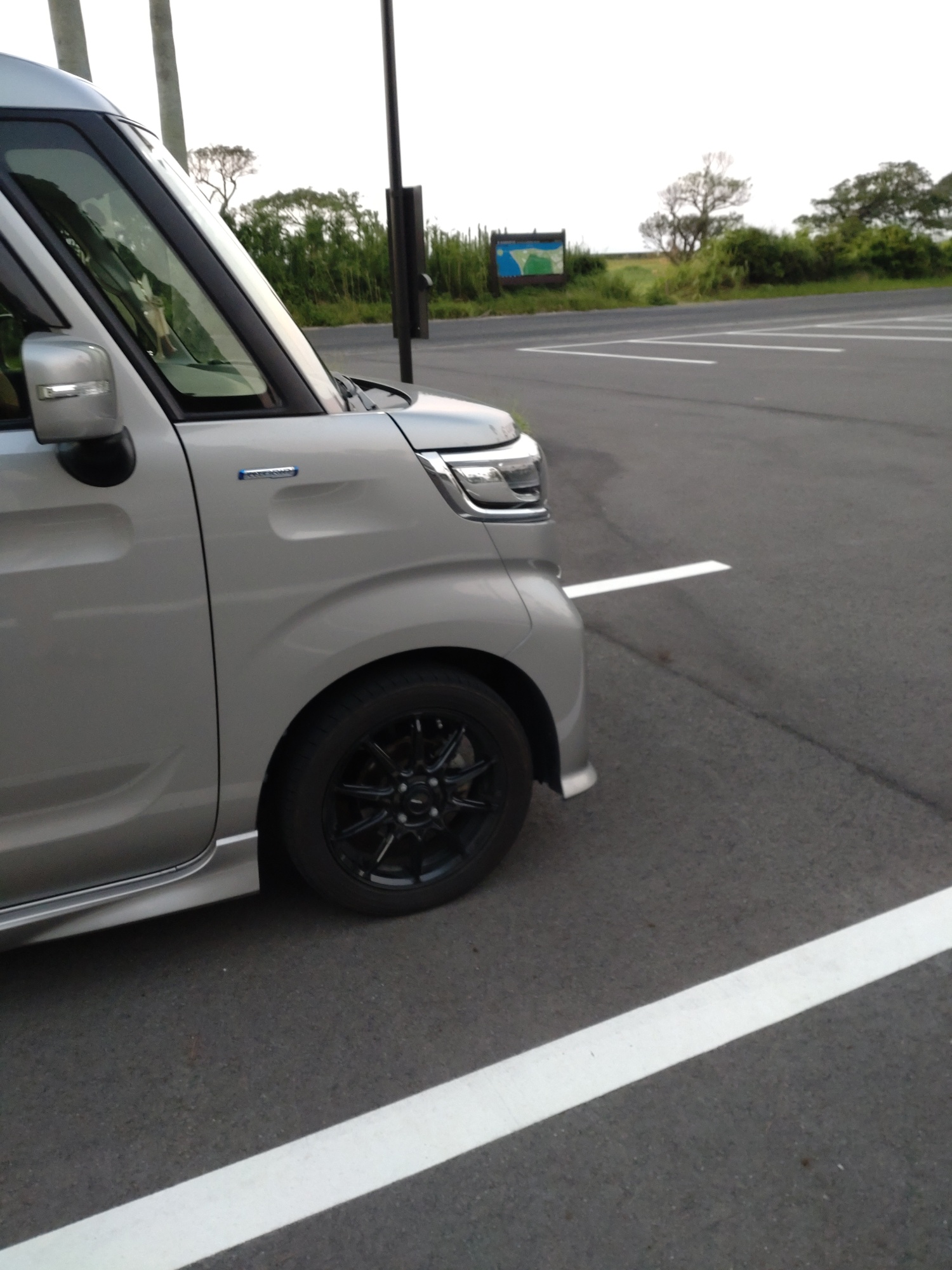 スペーシアカスタム MK53S