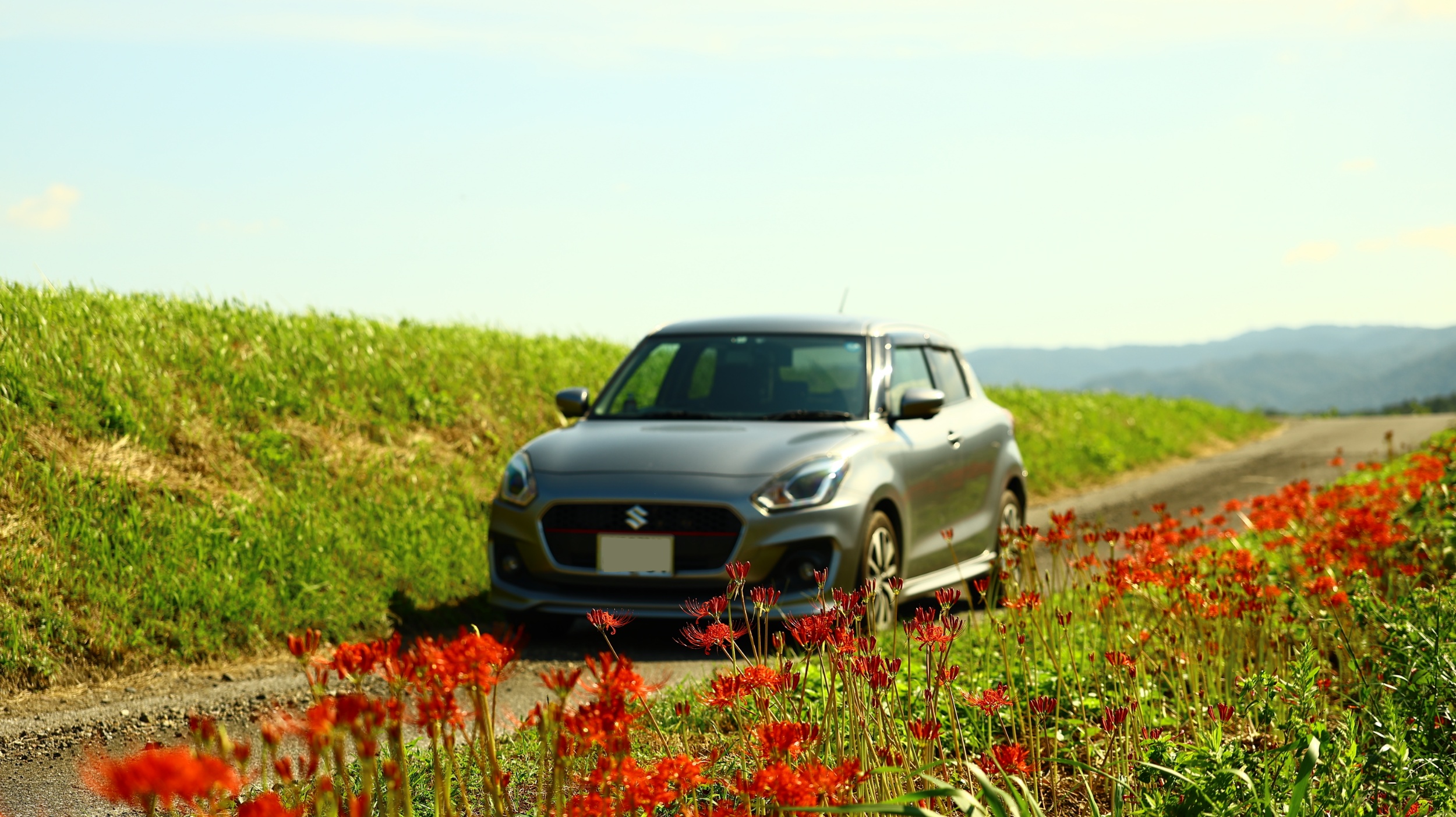 スイフトRS