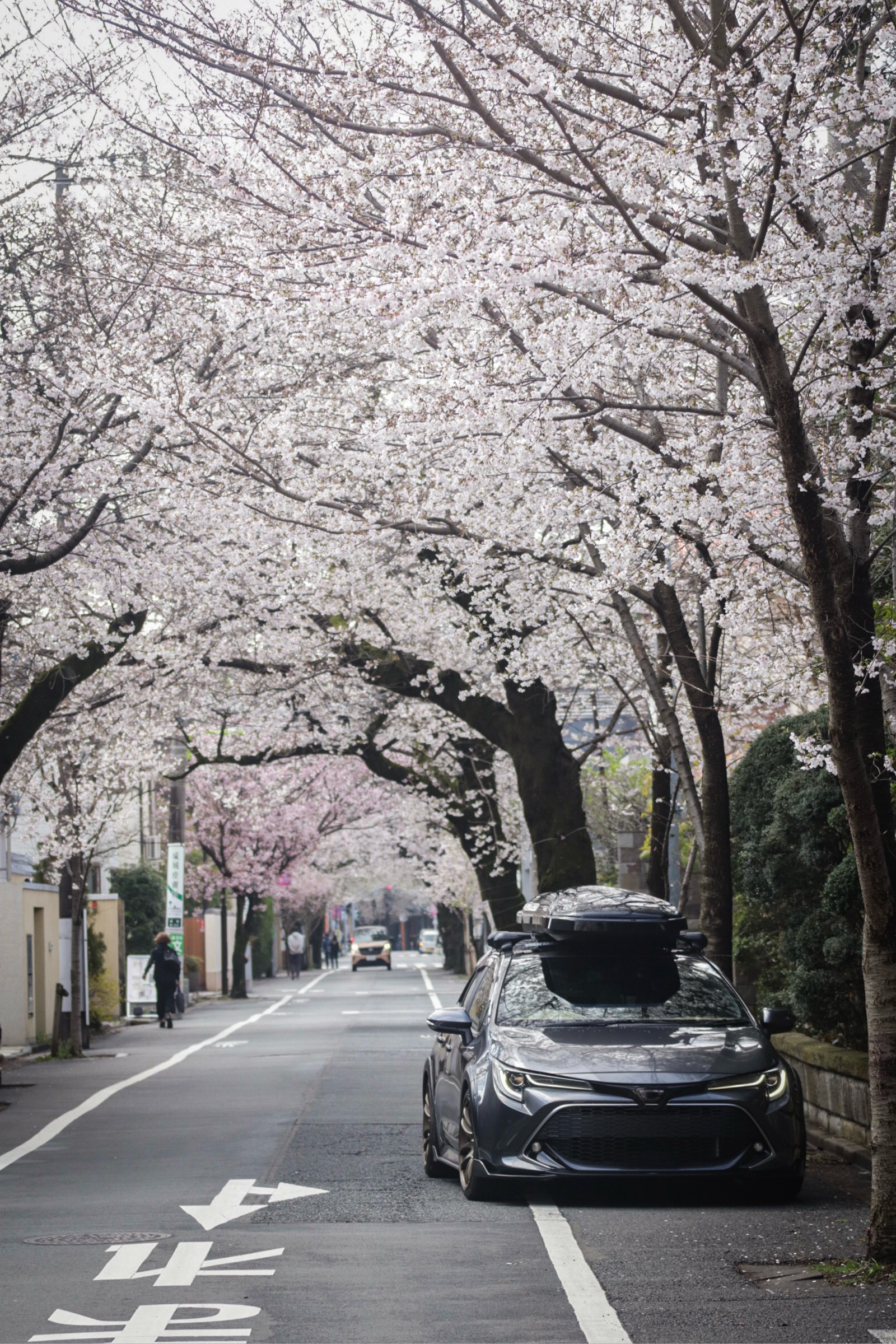 カローラスポーツ NRE210H