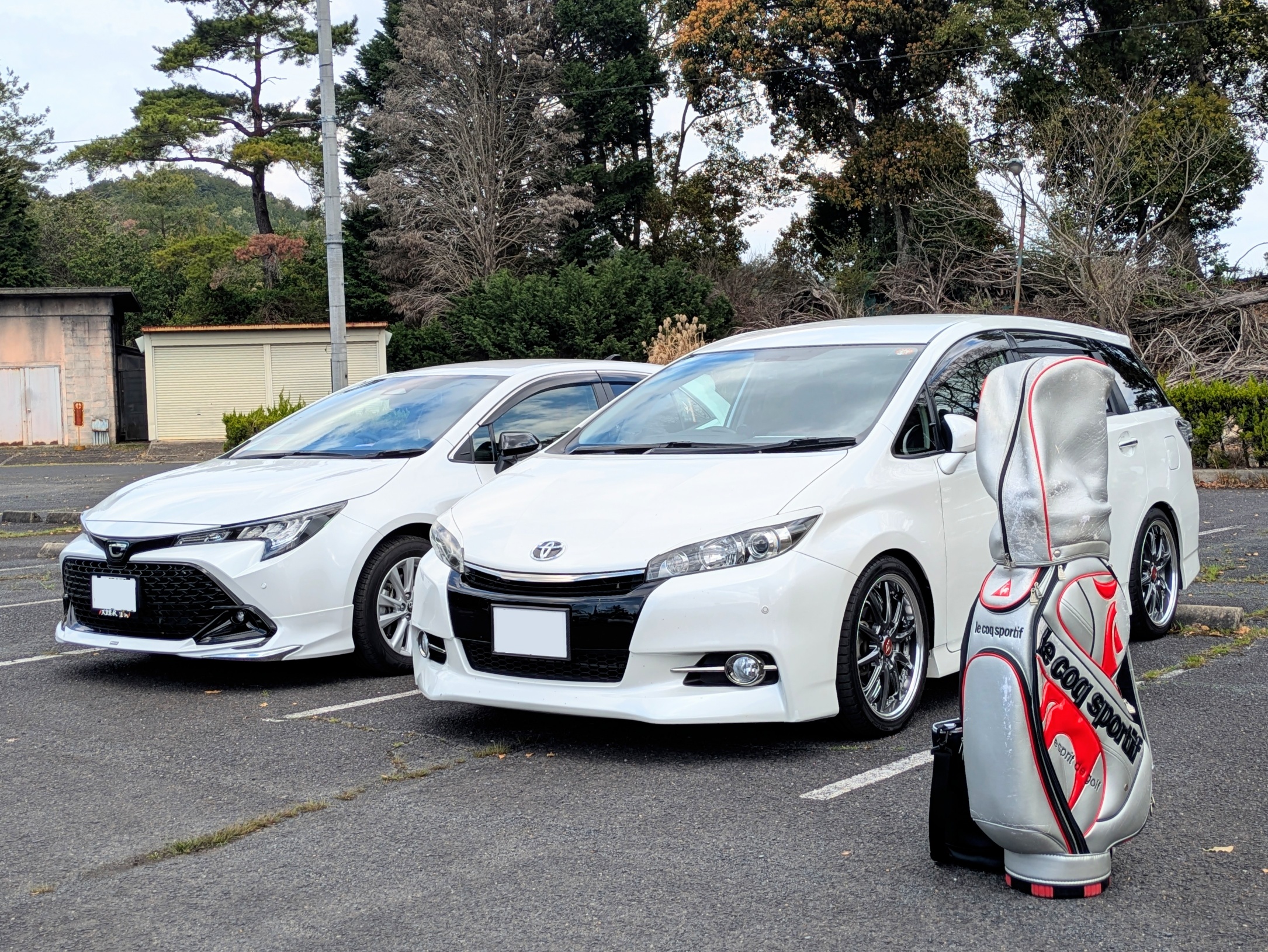 ウィッシュ ZGE20W