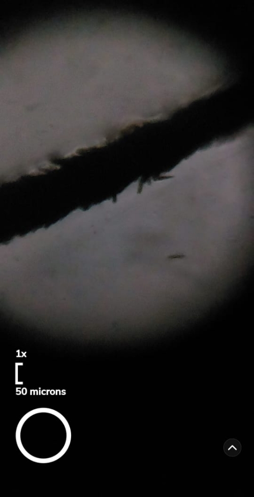 4af99e1c-3d3e-4e9d-a9c7-6a78e811595a.foldscope