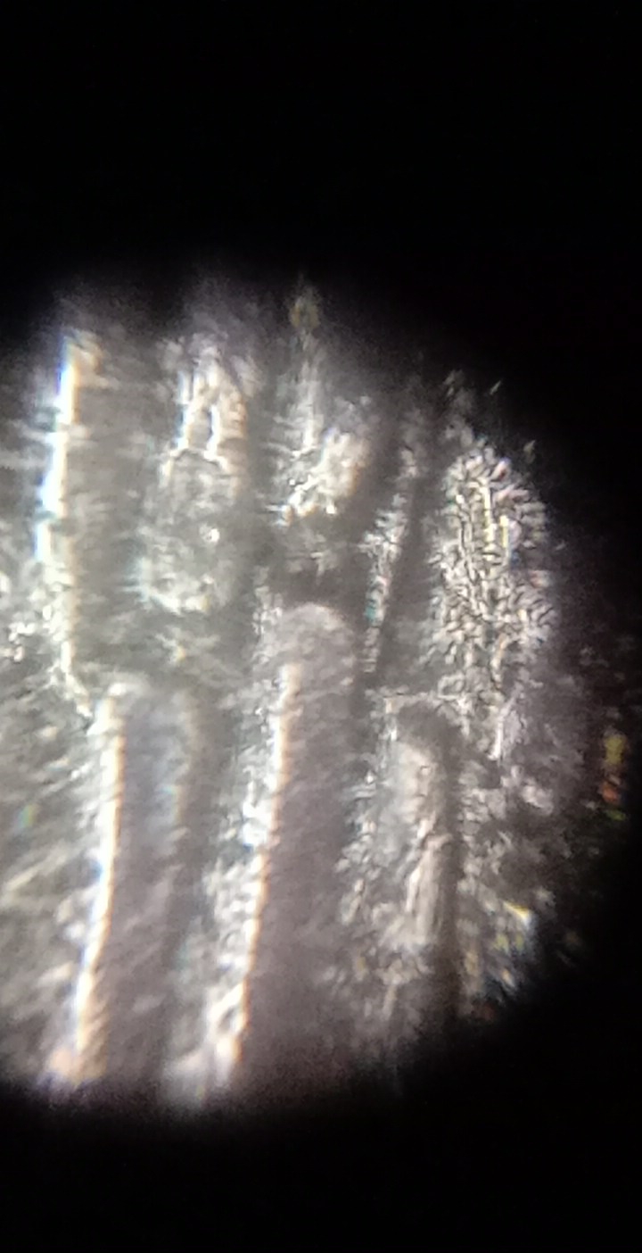 4f5b3d2d-057d-4599-ad16-c425acd87a17.foldscope