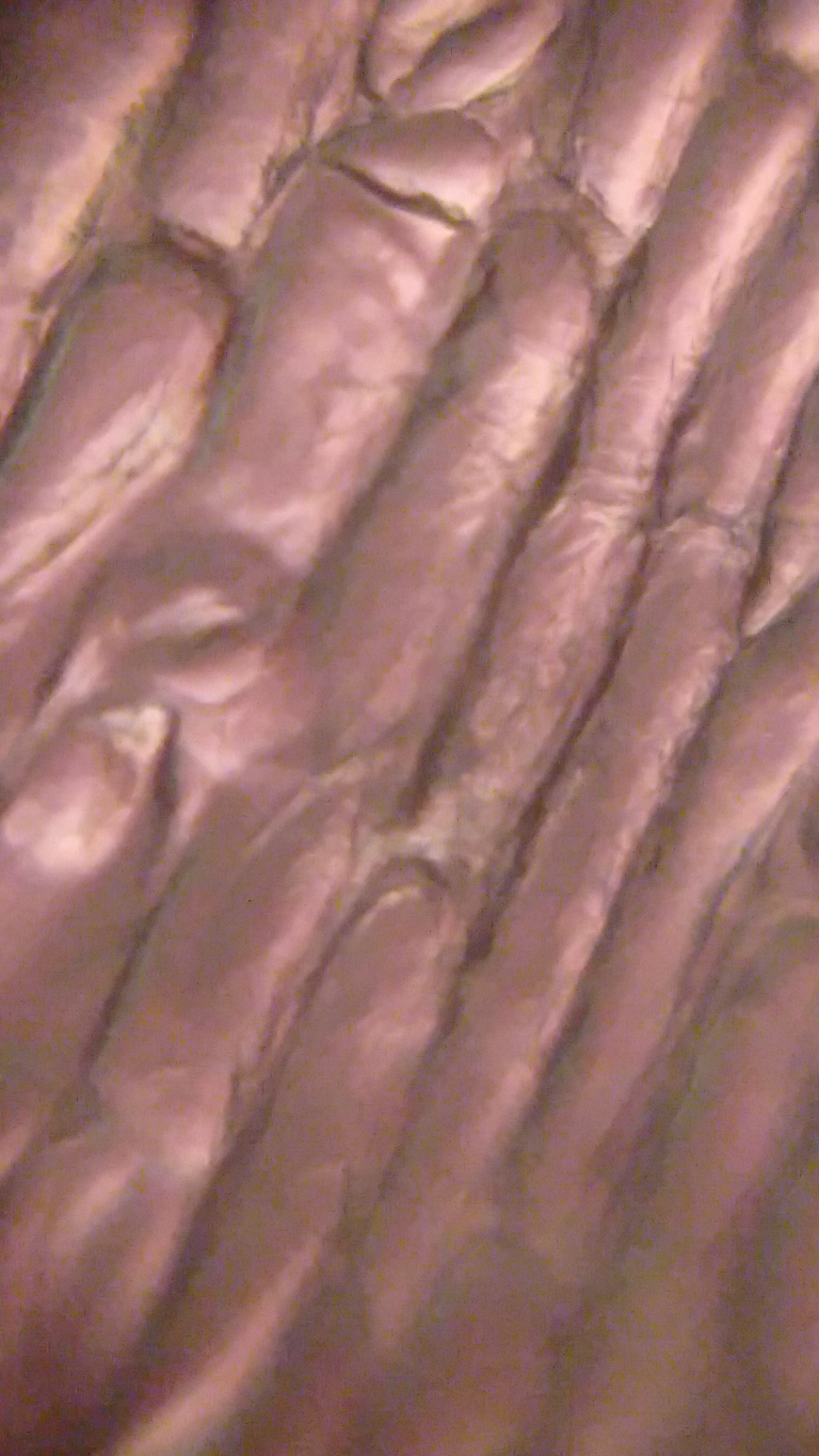 27b19ef4-5ff6-4cc4-9fd8-0b633d33ed4e.foldscope