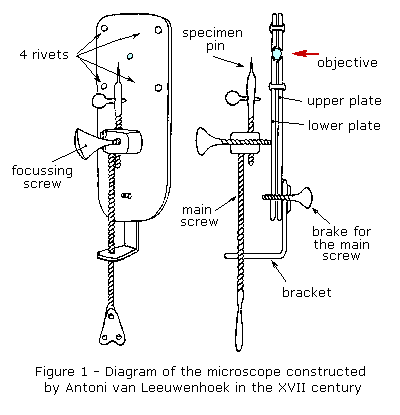leuwenhoakmicroscop.gif