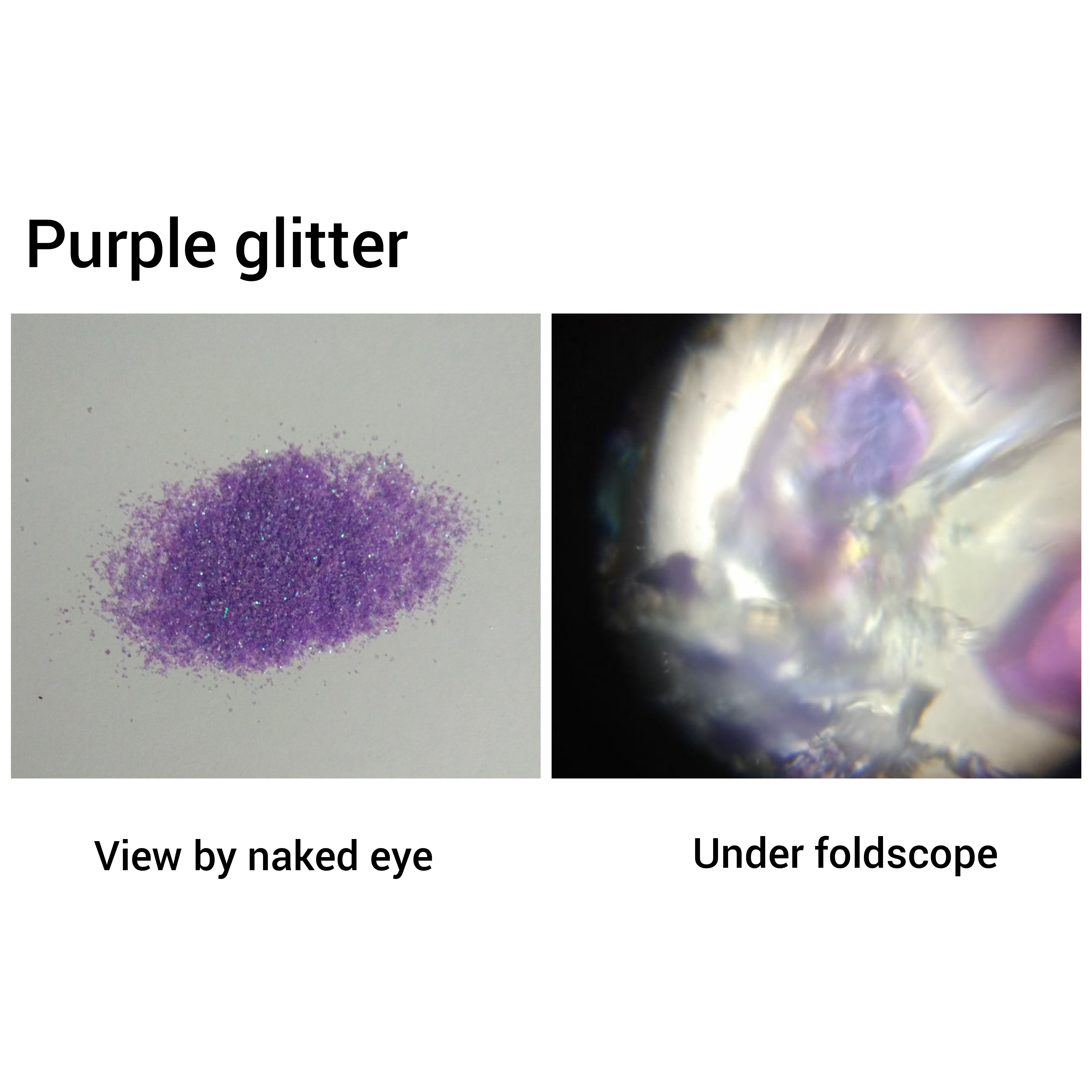 purple.jpg