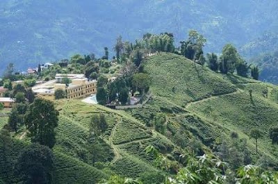 ILLAM-1.jpg
