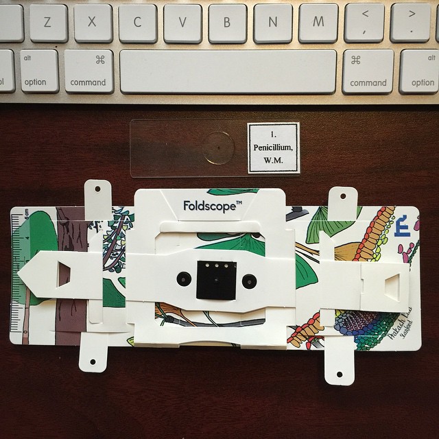 Foldscope-IstDay-web.jpg