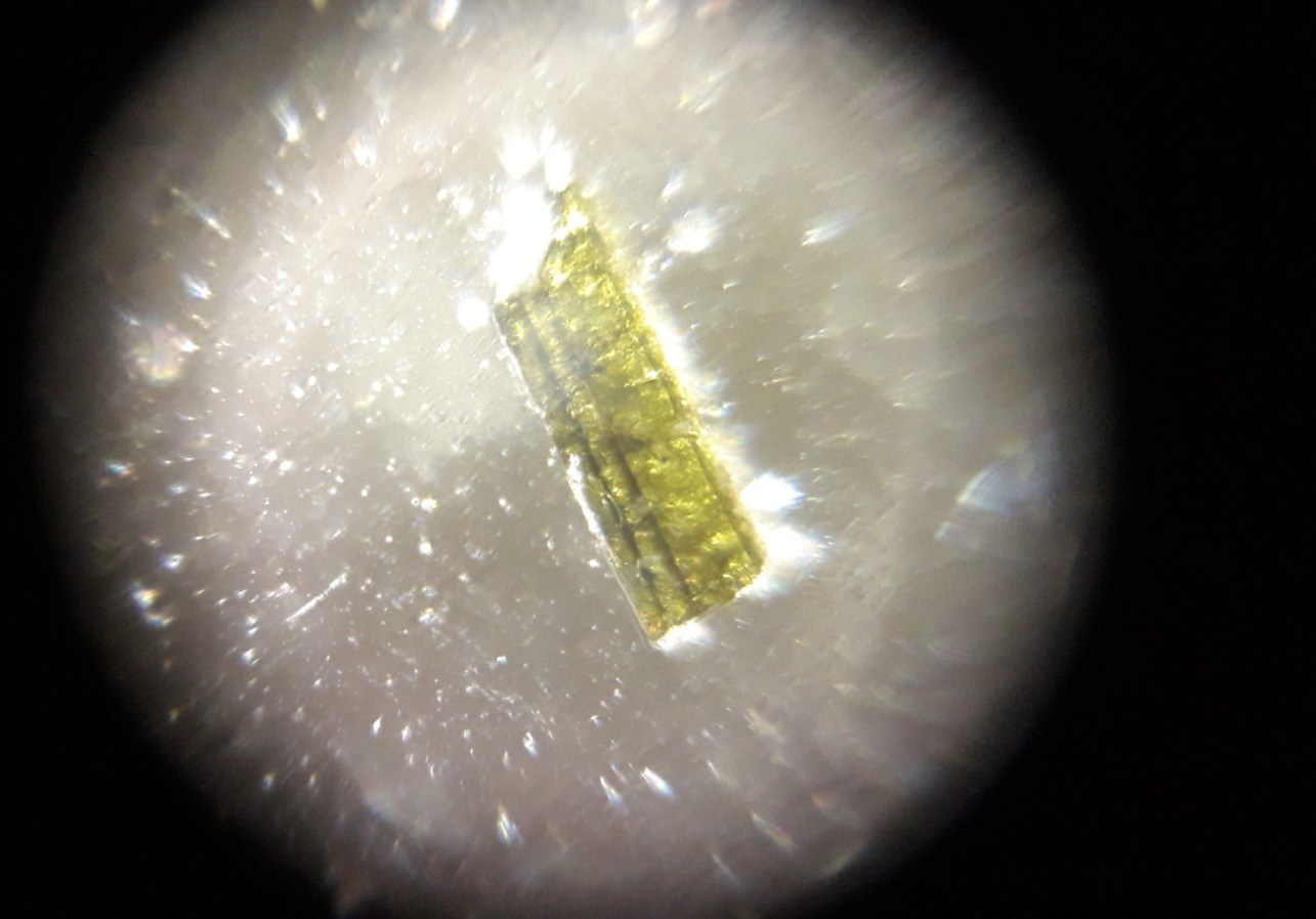 Foldscope-Photo-02.jpg