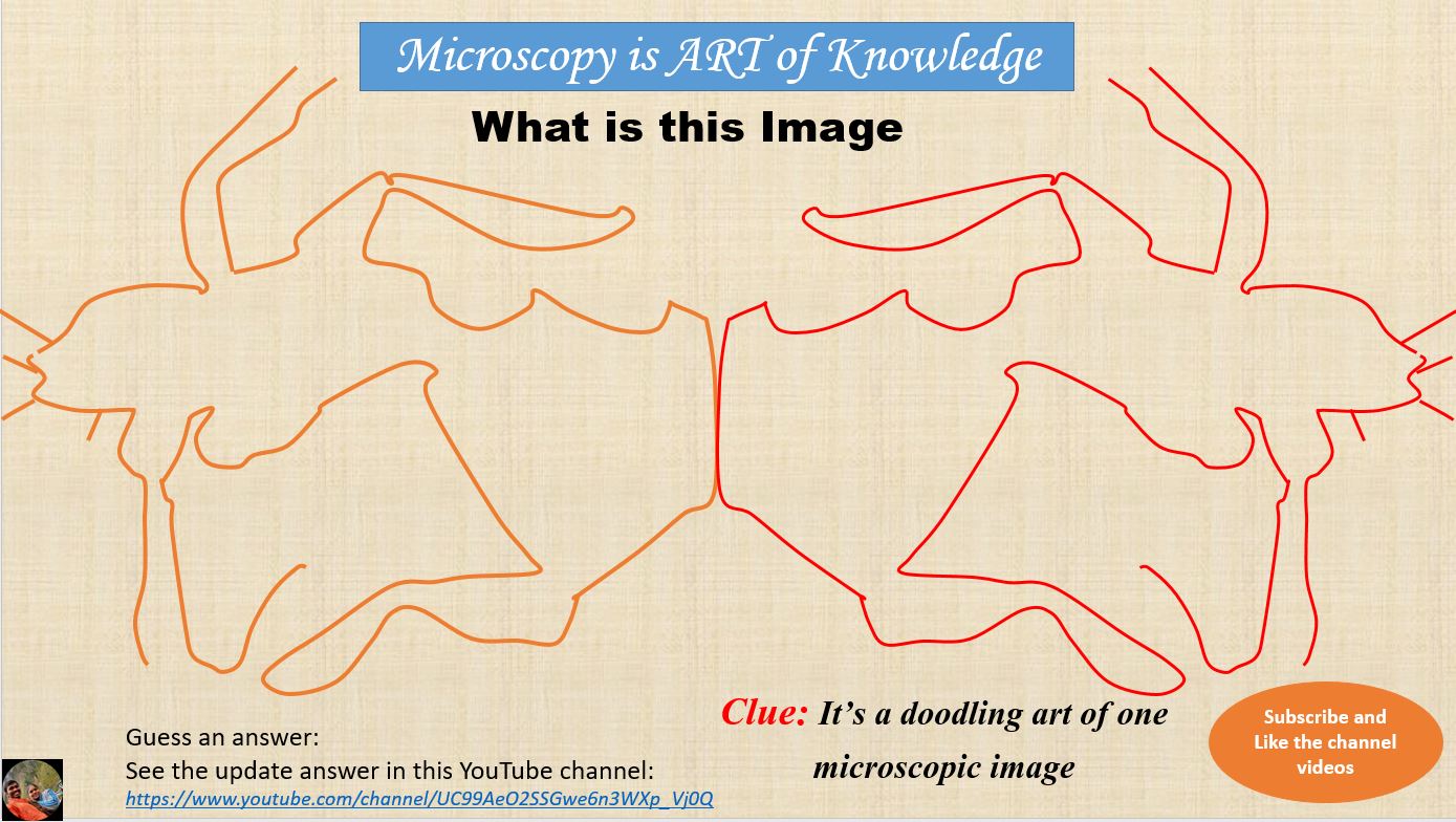 Microscopic-doodling-image.jpg