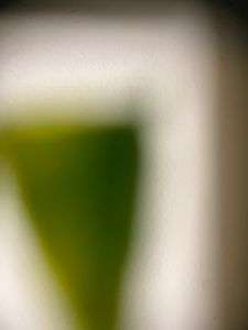 Thumbnail for BIOE 80 Week 4 Portfolio