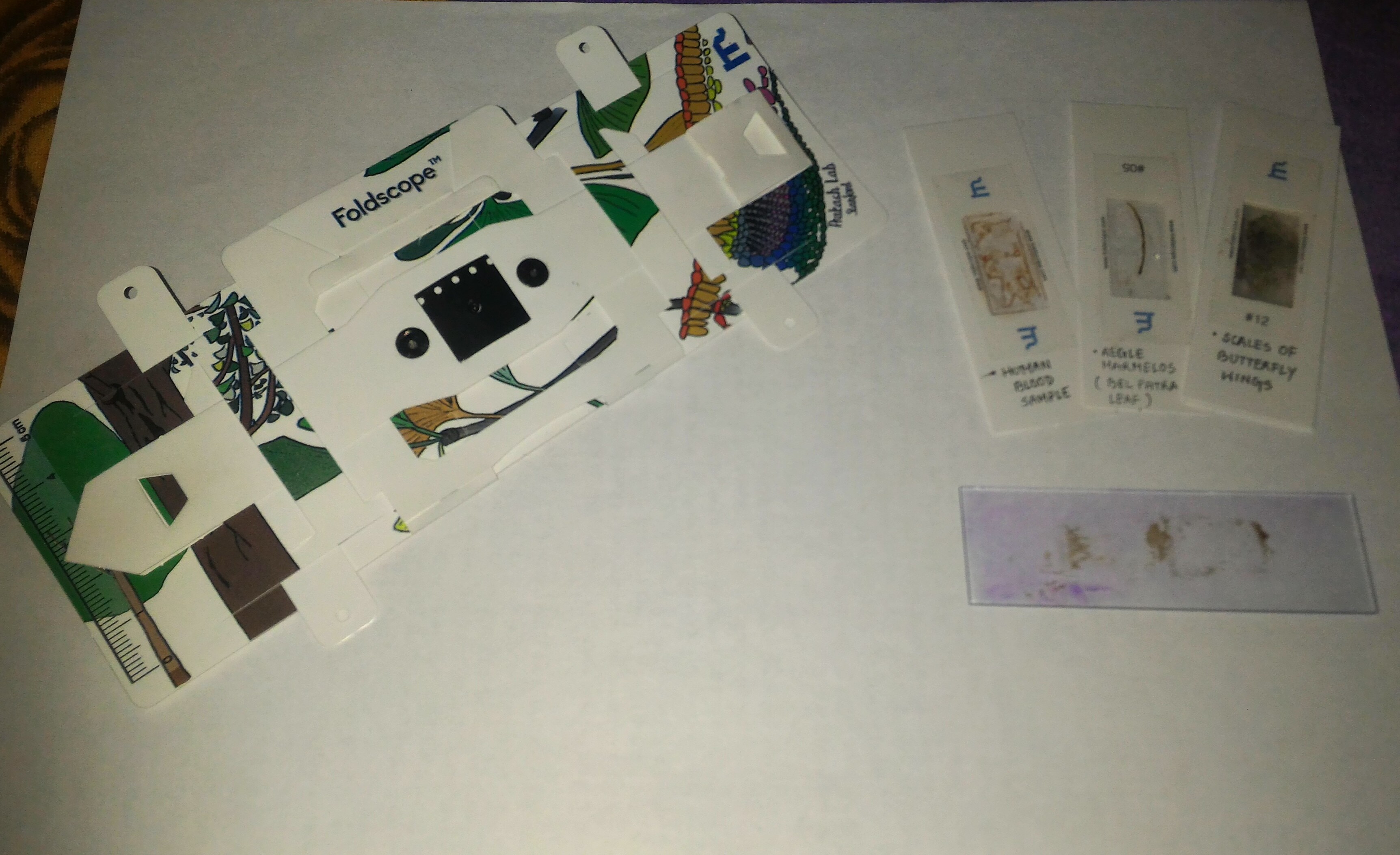 foldscope.jpg
