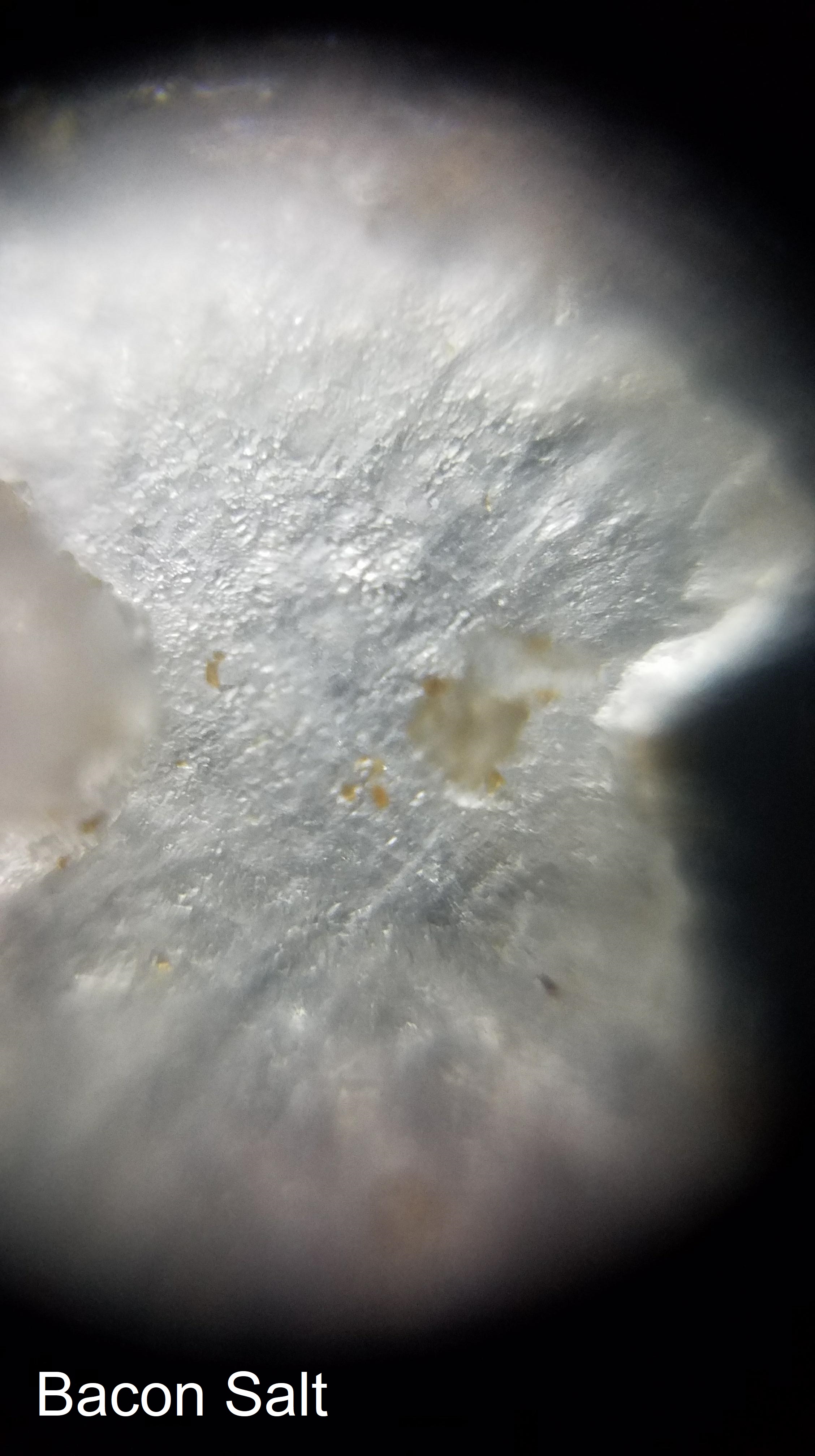 baconsalt-1.jpg
