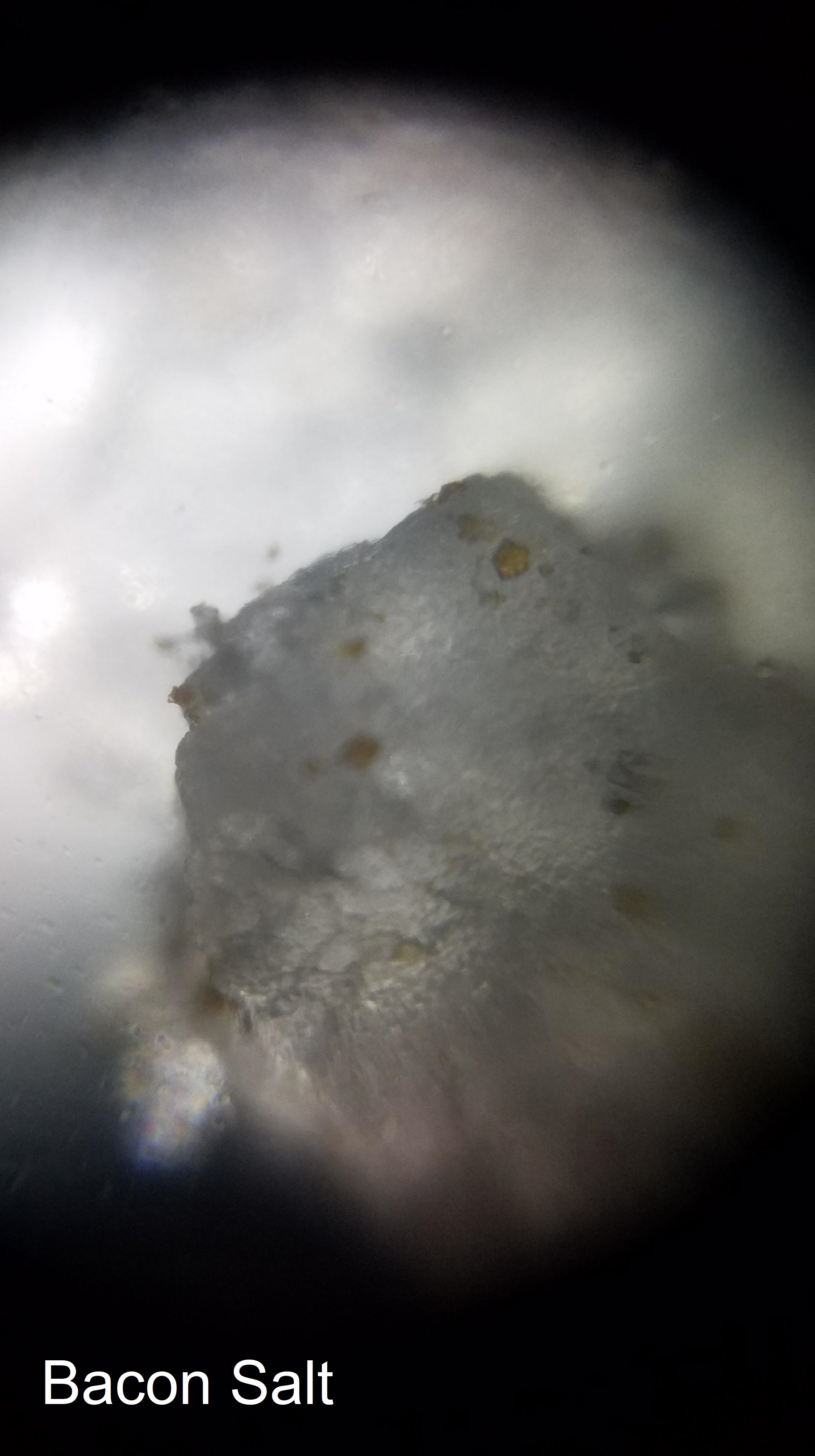 baconsalt-2.jpg