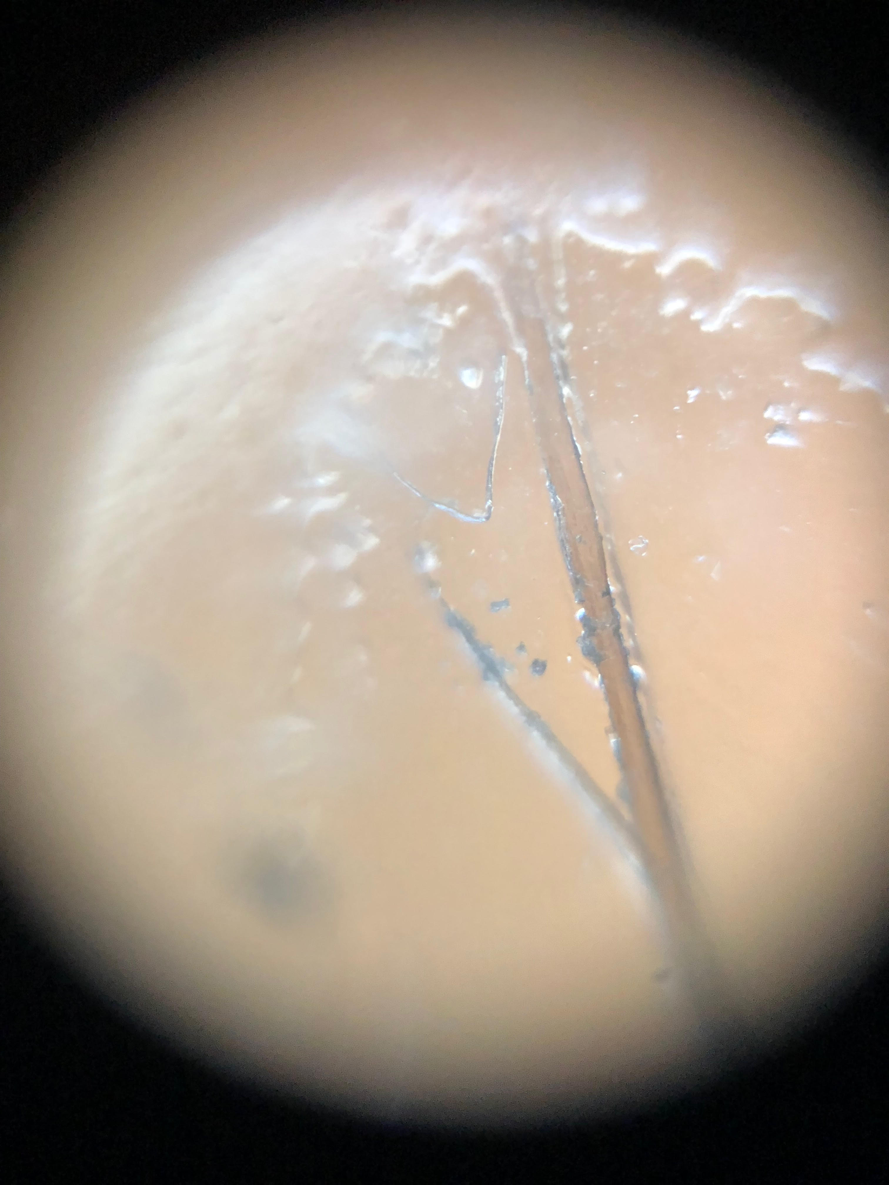 Foldscope-Hair-feb12.jpg