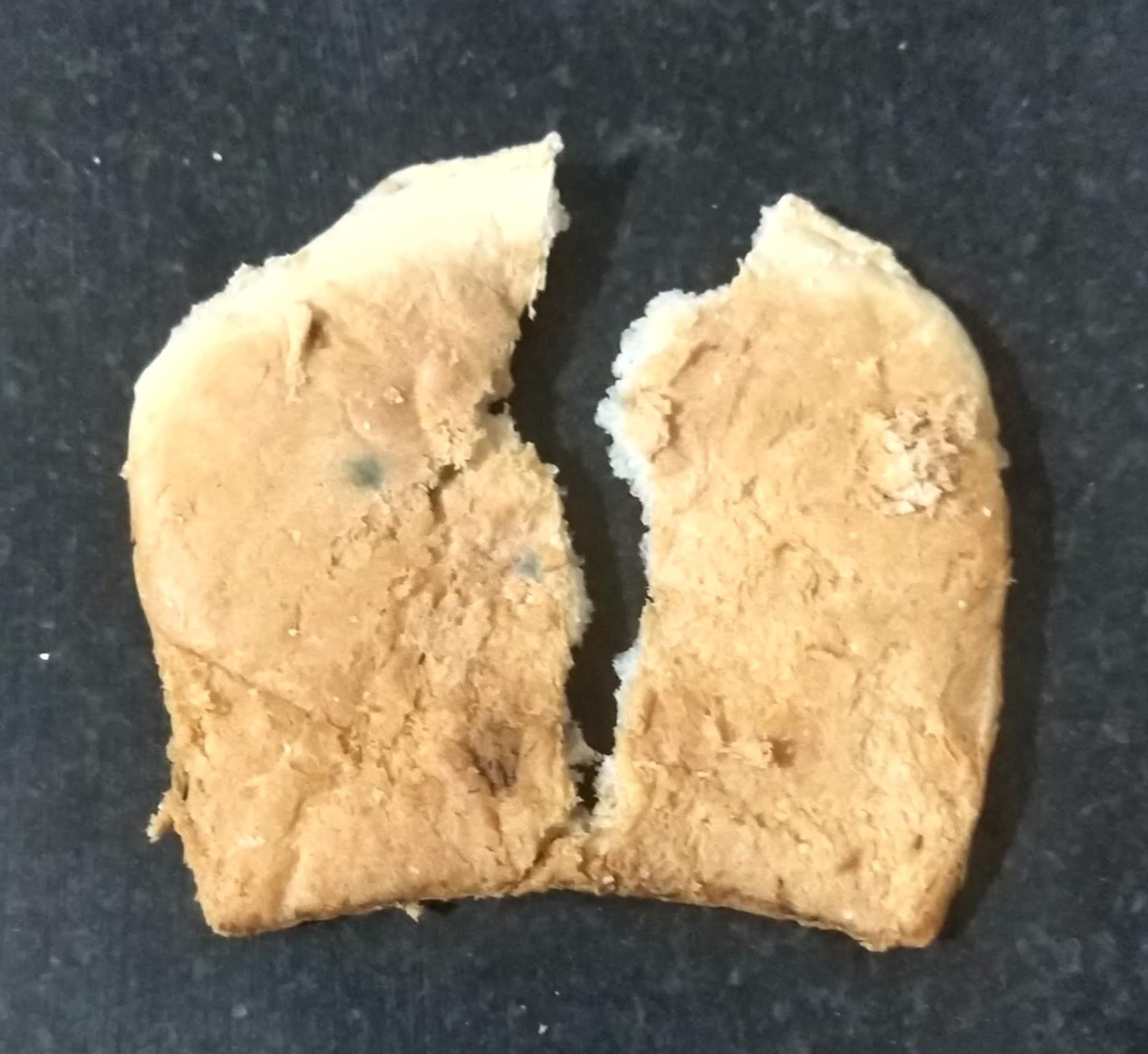 Molds-in-Bread.jpg