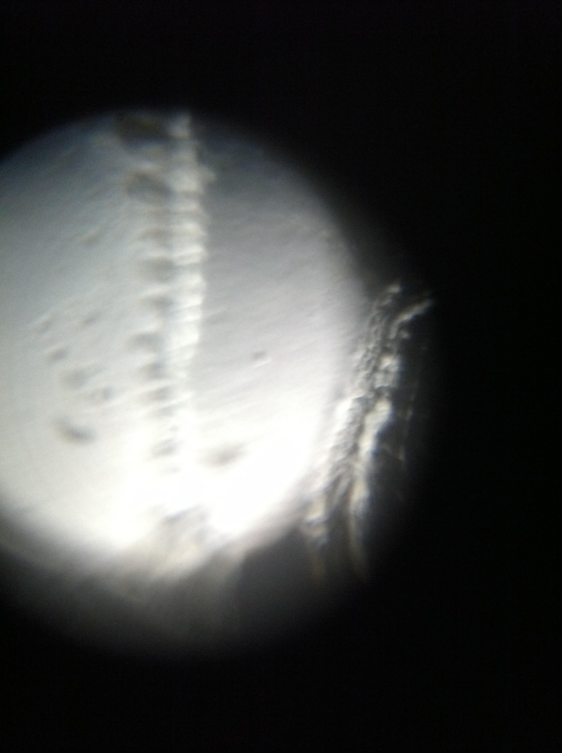 foldscope23.jpg